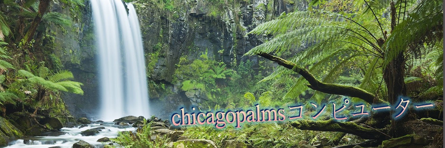 chicago_palms's profile banner image