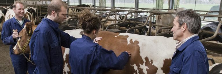 VetEd symposium 2018 banner