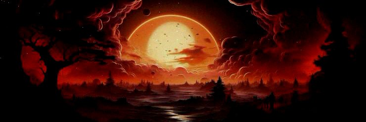 wildinnnluv's profile banner image