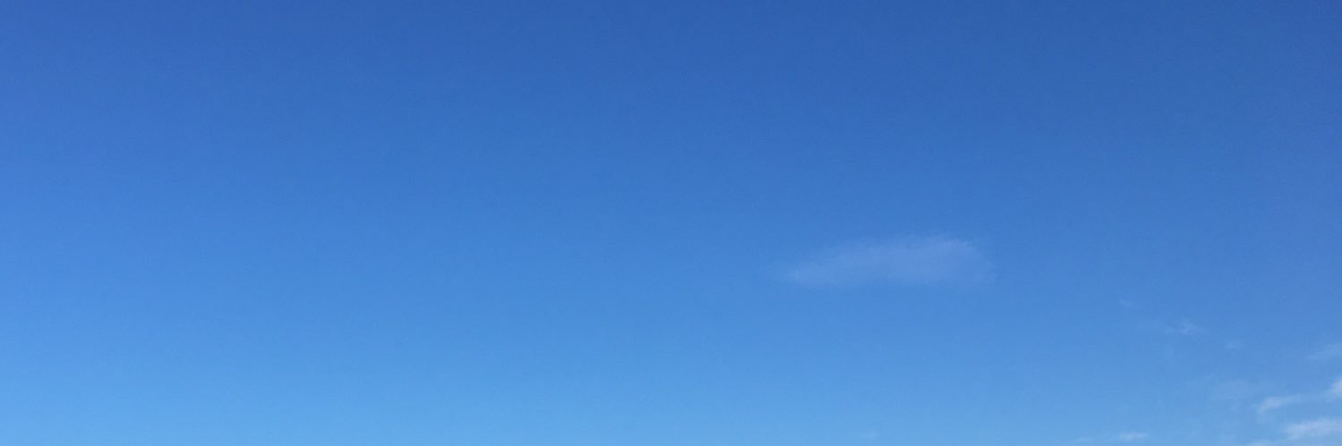 Bea banner