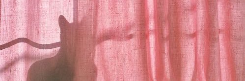 PiteMosteiro's profile banner image