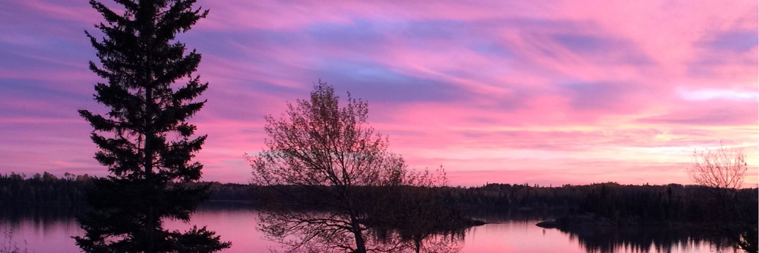 pettispbla's profile banner image