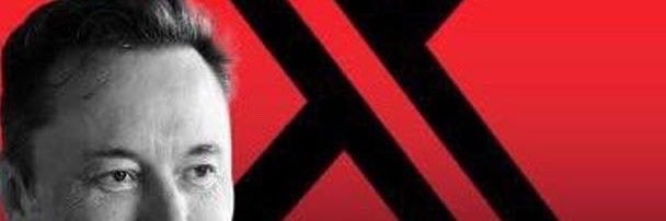 lielonmusk's profile banner image