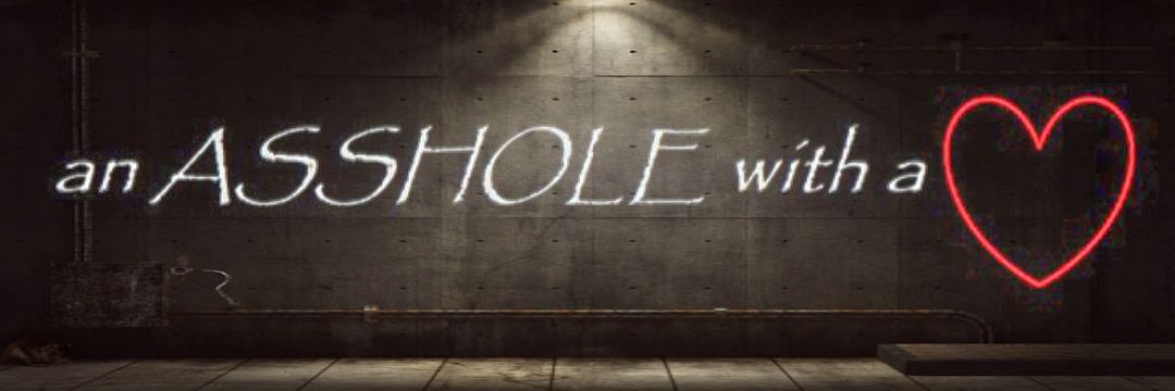 SHANIE BOY™ banner