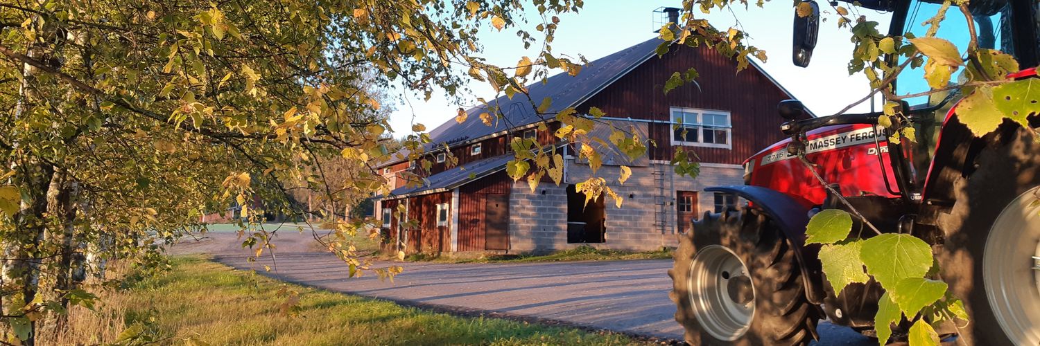 Maria Torttila banner