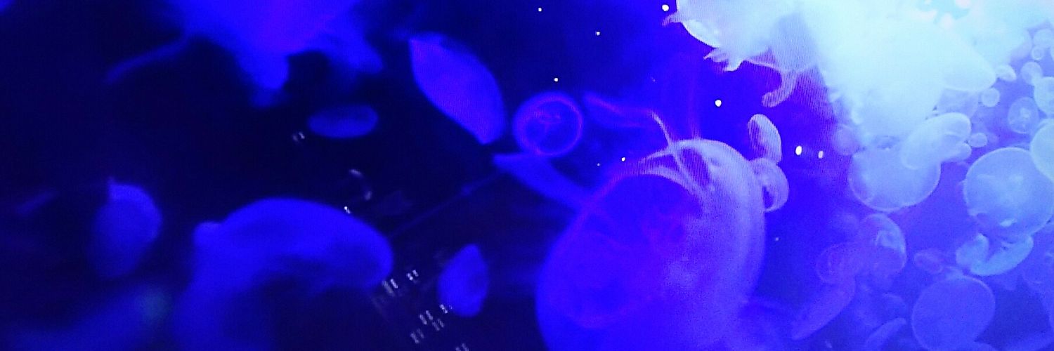 りん banner