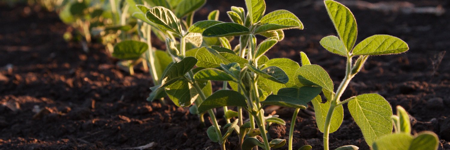 Seed World Canada banner