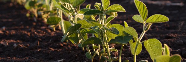 SeedWorldCAN Profile Banner