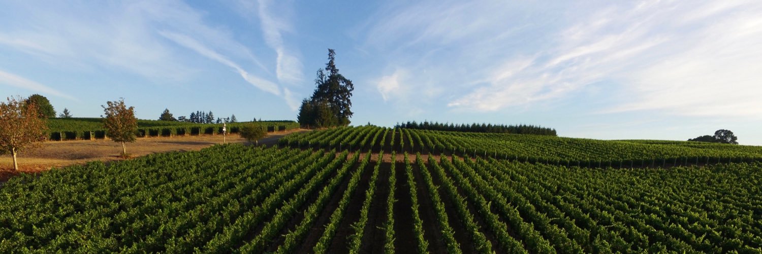 Angela Estate Winery banner