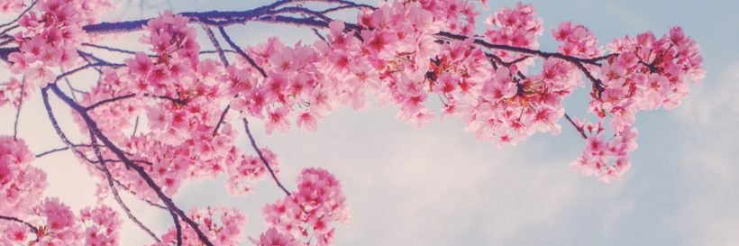 iAngieRR's profile banner image