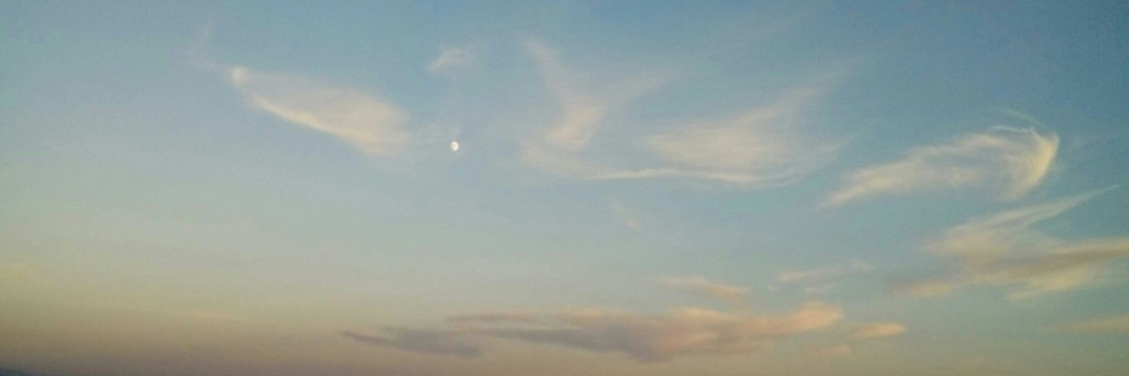 Massimo Moscarelli banner