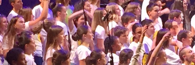 Les Compagnons de l’Ordre des Palmes Académiques. banner