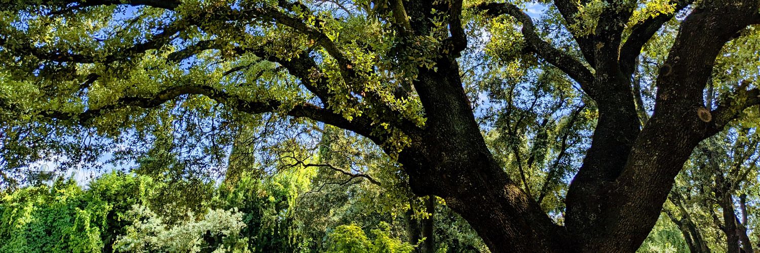 mleeclancyjr's profile banner image
