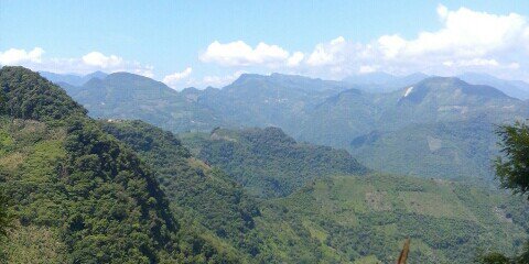 iriv_viri's profile banner image