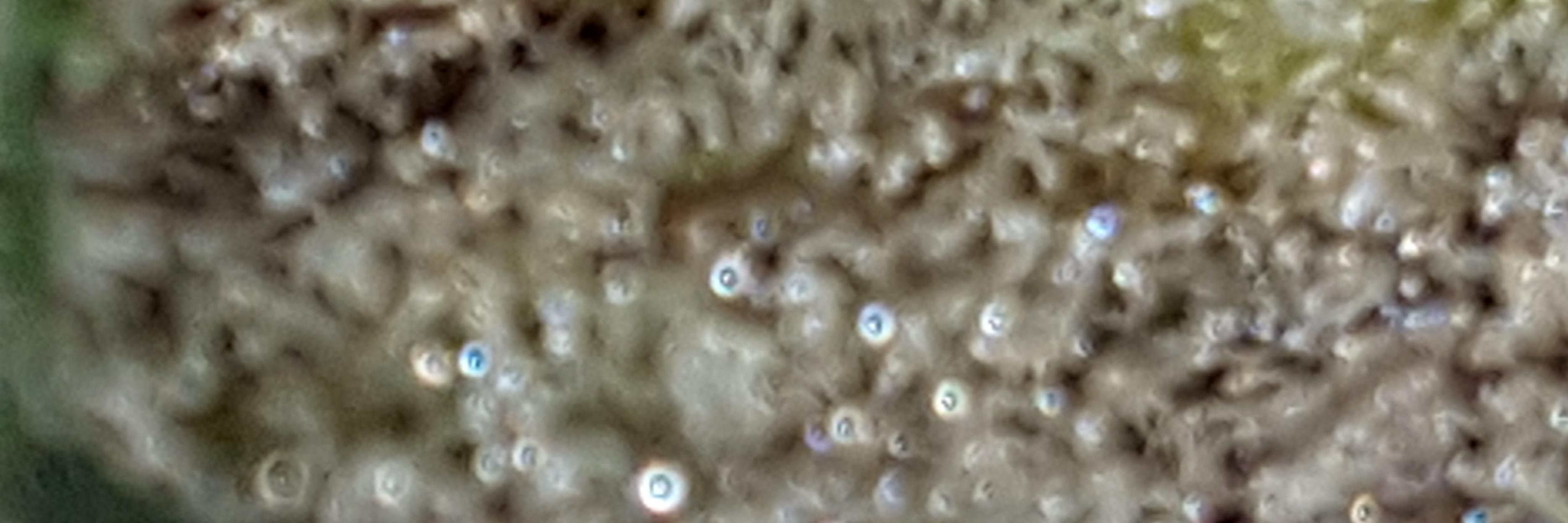 ddeadheadd's profile banner image