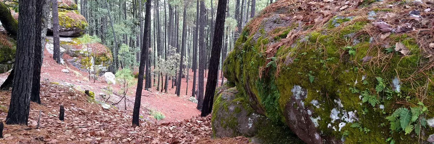 ChuyEscobarDiaz's profile banner image