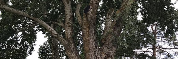 NiermeyerGraham Profile Banner