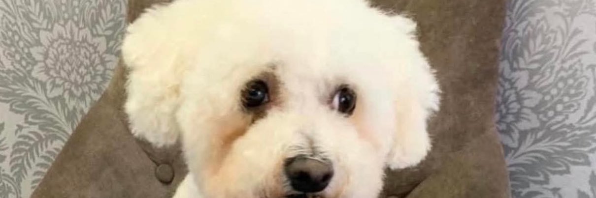 rubymaybe 🇬🇧 banner