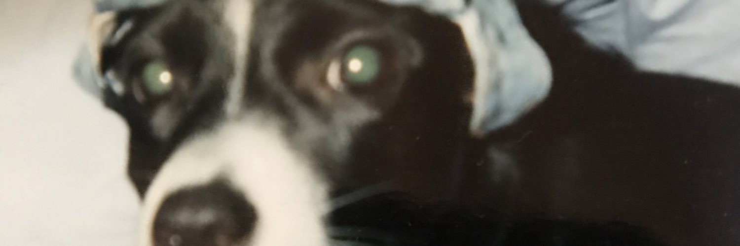 roxaneschmidt's profile banner image