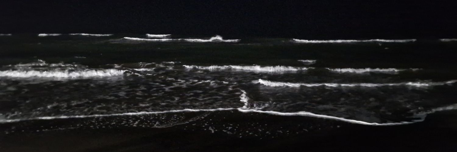 arianreyh's profile banner image