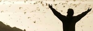 Jorge_Guer11's profile banner image