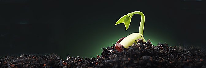 Maël Disa-Vingataramin banner