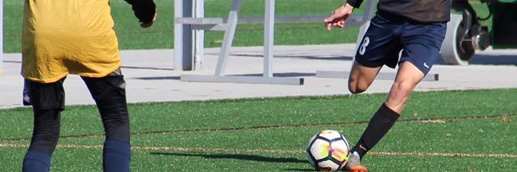 Hayden Dodd banner
