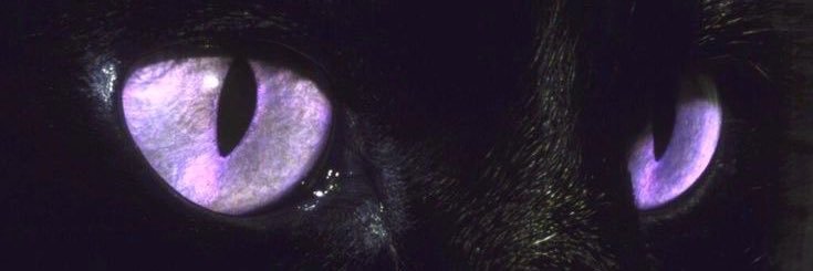 jaygdala's profile banner image