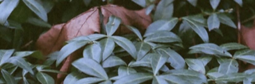 BCarp6's profile banner image