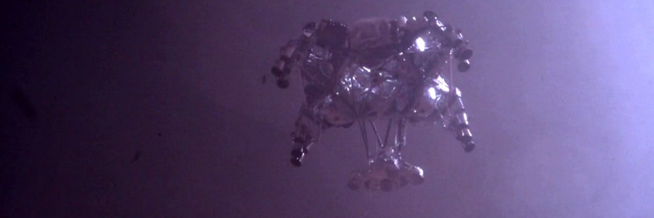 Erin Gibbons, PhD 🚀 banner