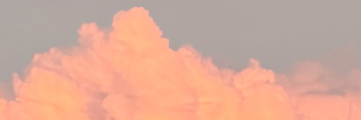 codylgault3's profile banner image
