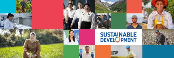 UNDP_Uzbekistan Profile Banner