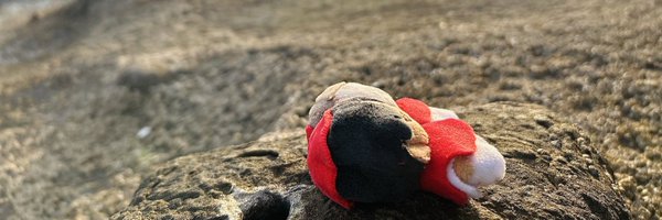 yuu_sigu_65 Profile Banner