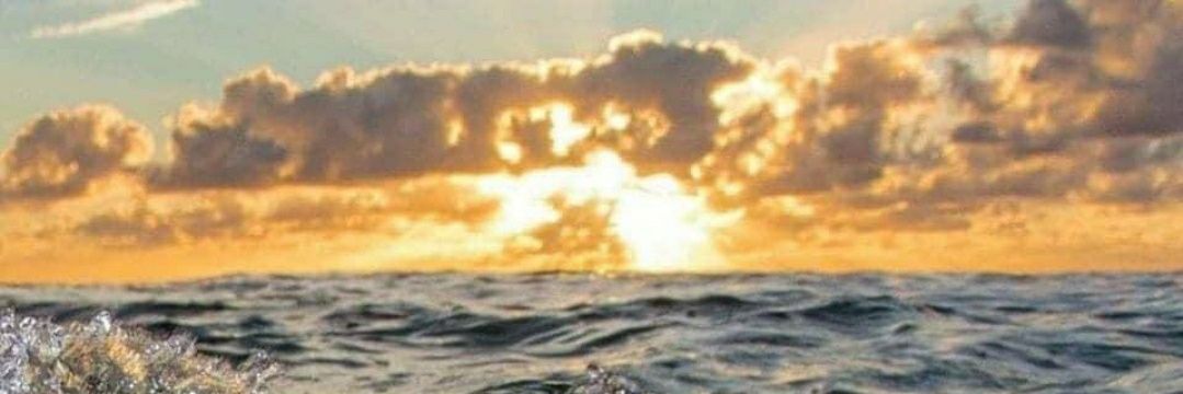 Kurtamous 🇺🇸 banner