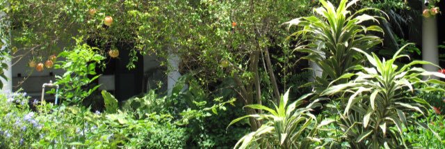 ChichiRiquezes's profile banner image