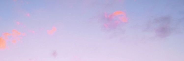 PoppyGabriel's profile banner image
