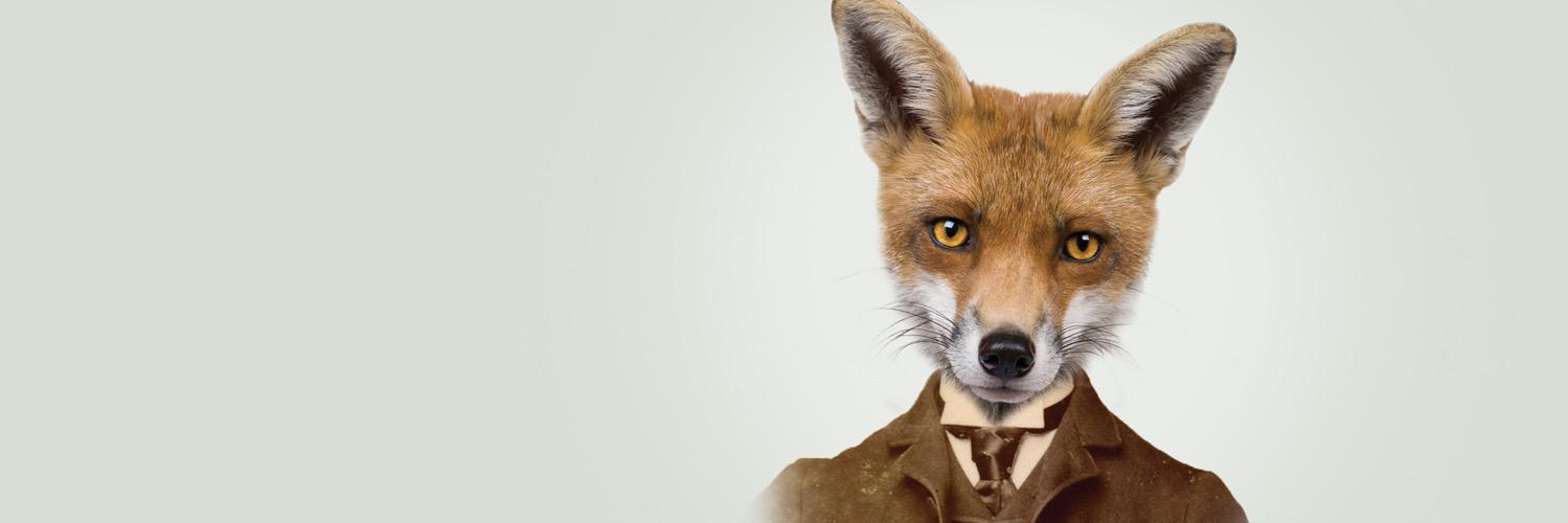 theQBF's profile banner image
