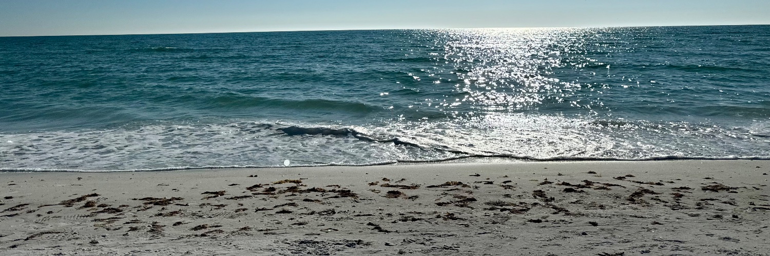 Random_squid26's profile banner image