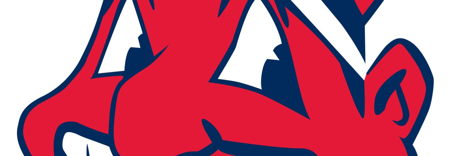 vblbaseball1's profile banner image