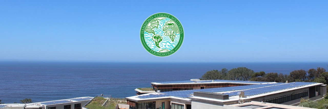 Tara Kelly Hammond banner