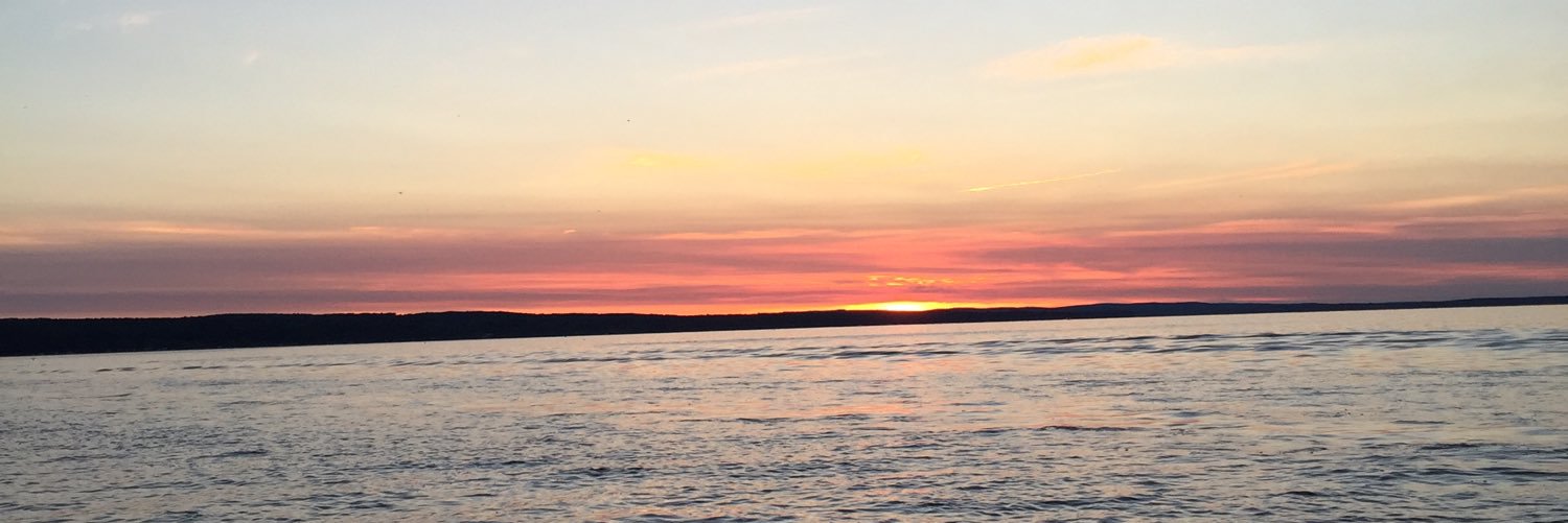 stephanierank's profile banner image