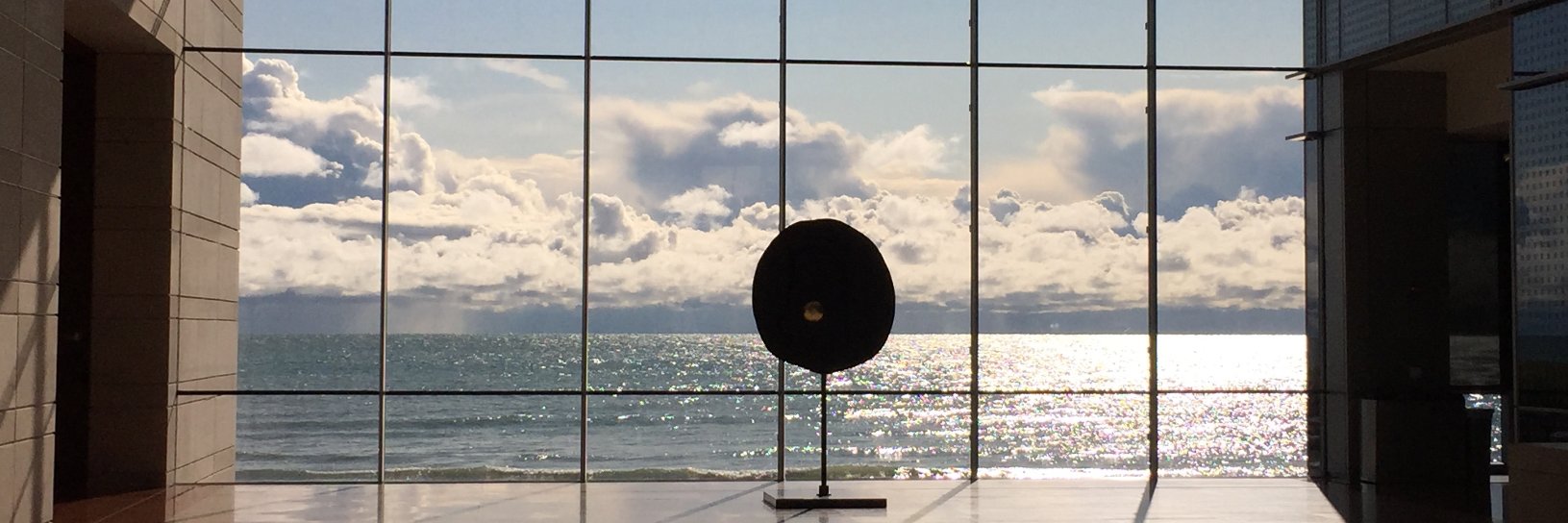 Dr. Elizabeth W. Son banner