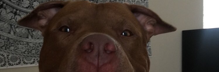 Lex7103's profile banner image