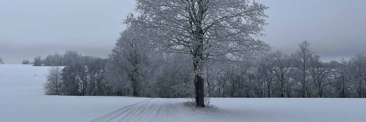 m_kirsch's profile banner image