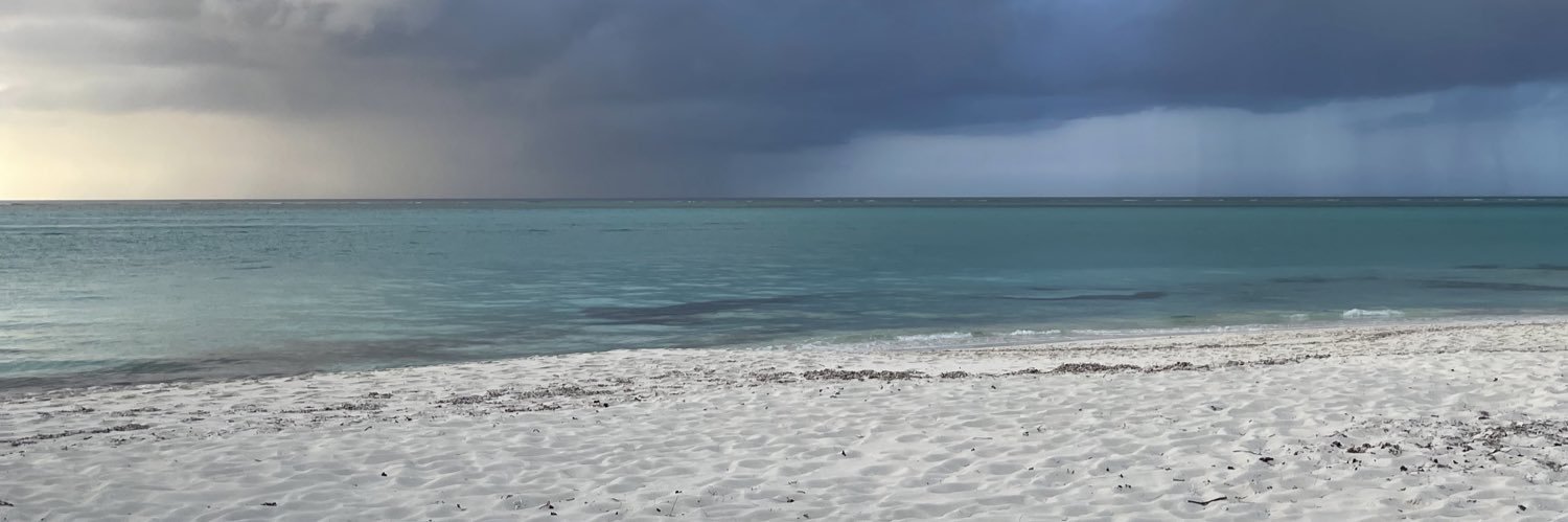 maddy ✿ banner
