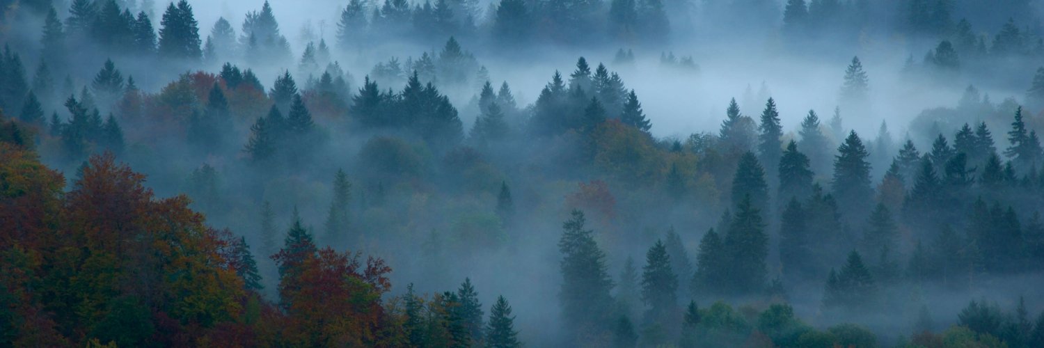 Sơn Hoàng Trần banner