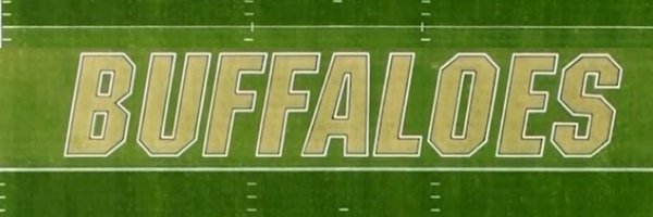 Reallytheitgirl Profile Banner
