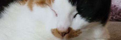 annecapsquared's profile banner image