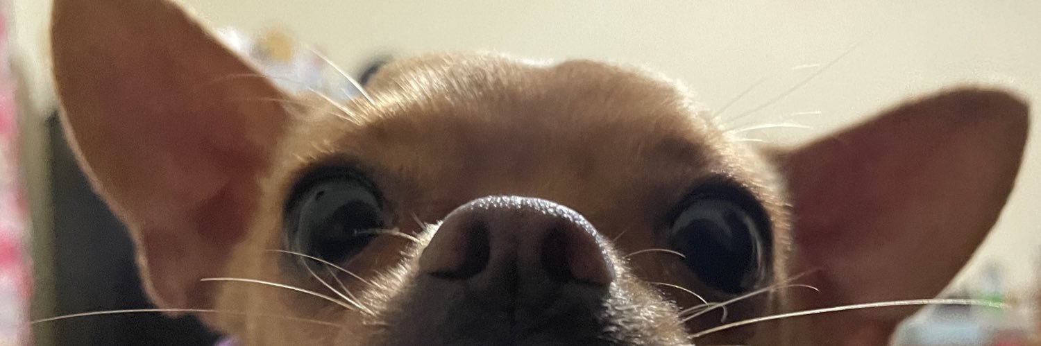 HumbertGama's profile banner image
