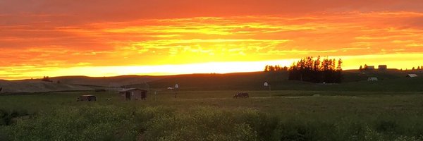 KoleMusgrove23 Profile Banner